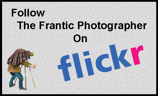 The Frantic Photographer